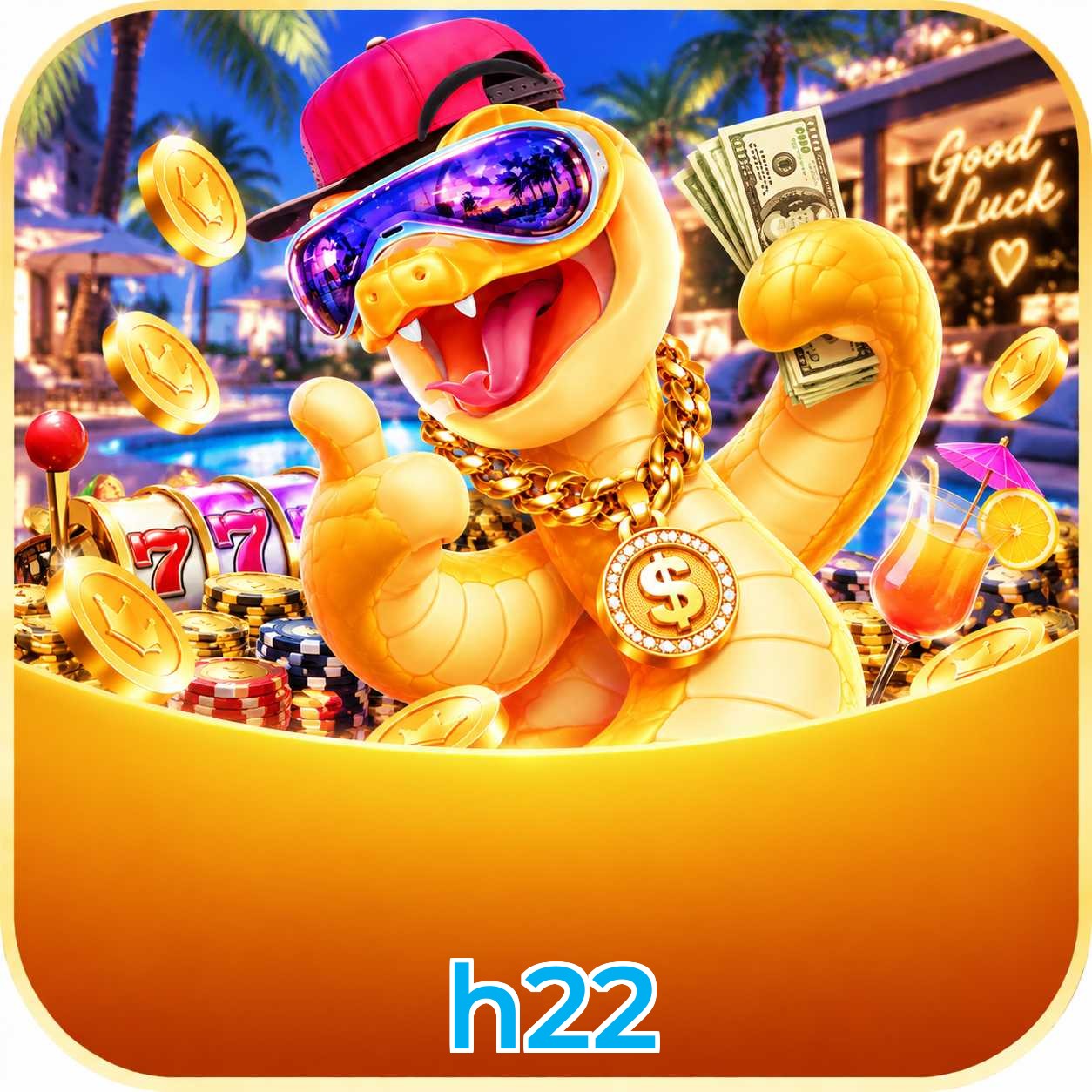 h22 FAQ