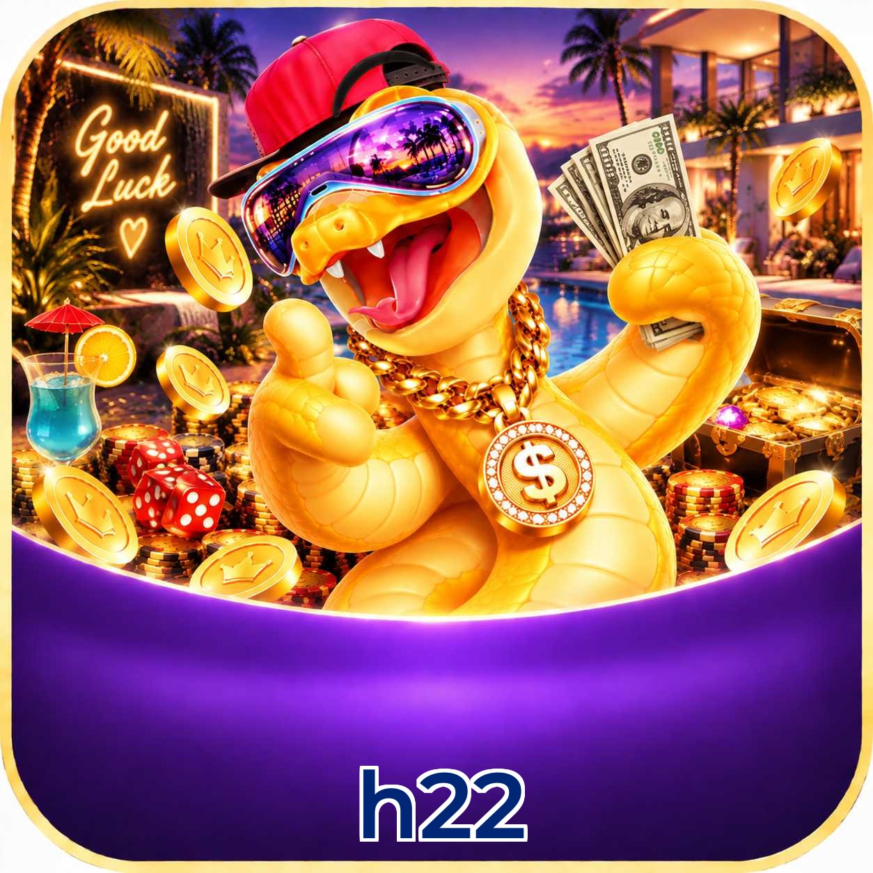 h22 Login FAQ